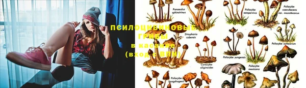 прущий лед Алексин