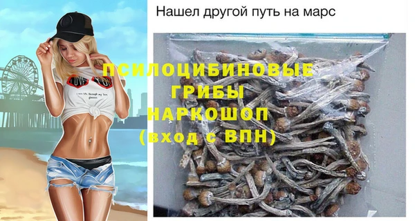 хмурый Алексеевка