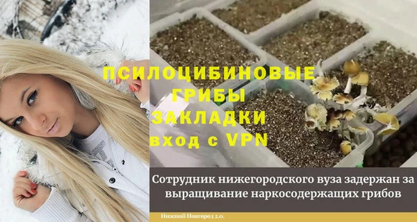 прущий лед Алексин