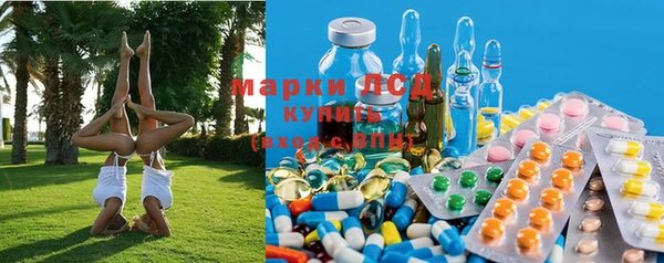 хмурый Алексеевка